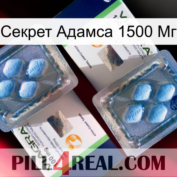 Секрет Адамса 1500 Мг viagra5.jpg